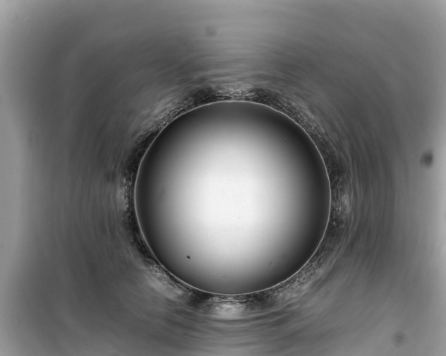 X0000099510658200805221423