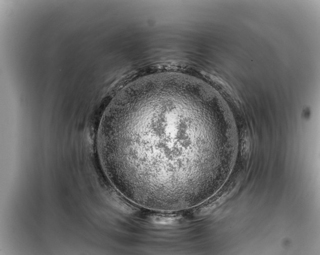 X0000099510661200805221423