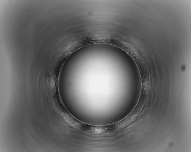 X0000099510662200805221423