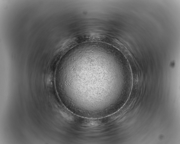 X0000099510663200805221423