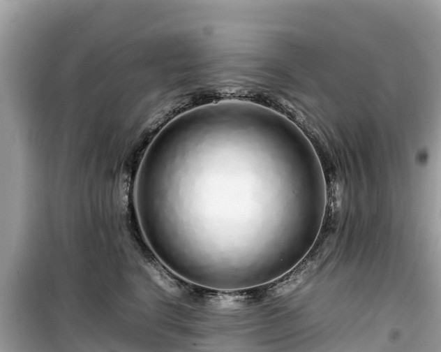 X0000099510664200805221423