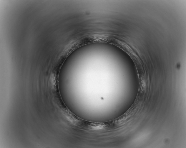 X0000099510667200805221423