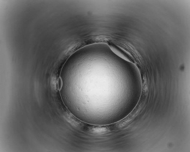 X0000099510669200805221423