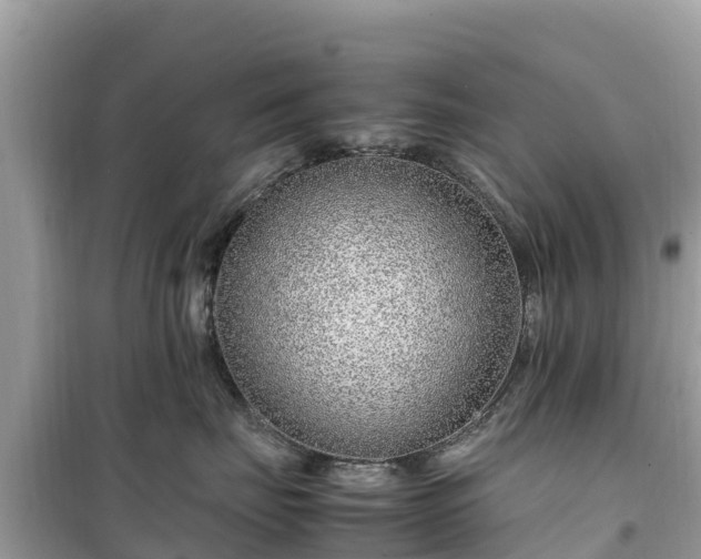 X0000099510671200805221423