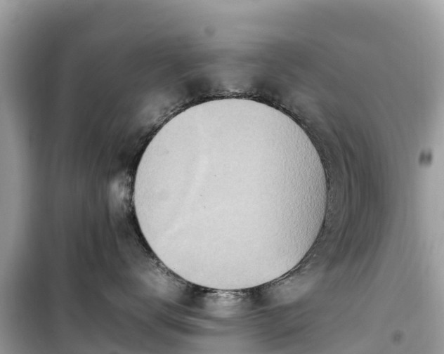 X0000099510672200805221423