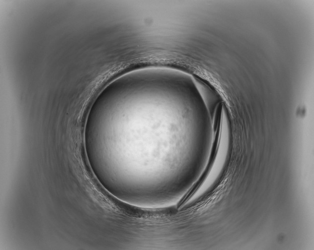 X0000099510673200805221423