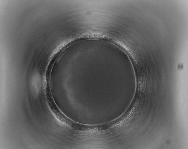 X0000099510674200805221423
