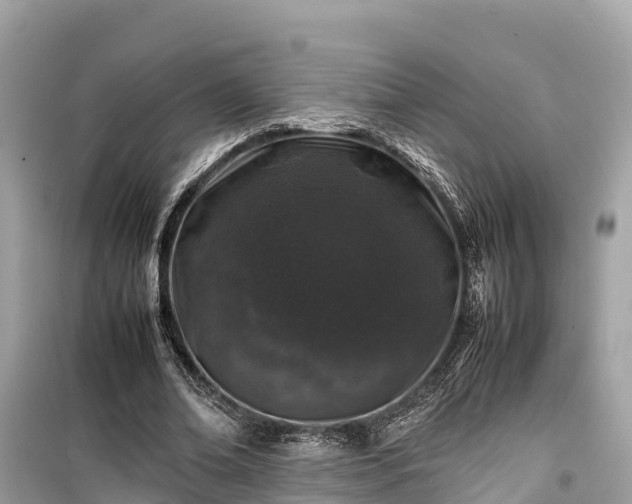 X0000099510678200805221422