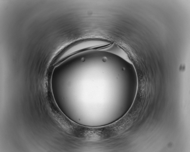 X0000099510680200805221422