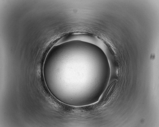 X0000099510681200805221422