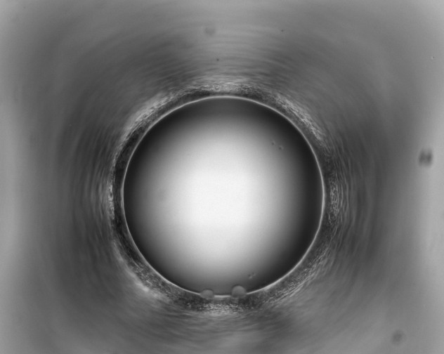 X0000099510682200805221422