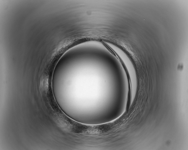 X0000099510685200805221422