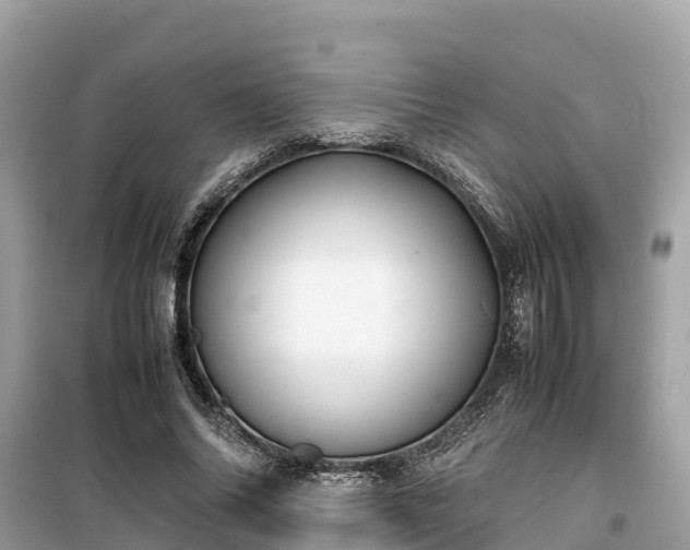X0000099510686200805221422