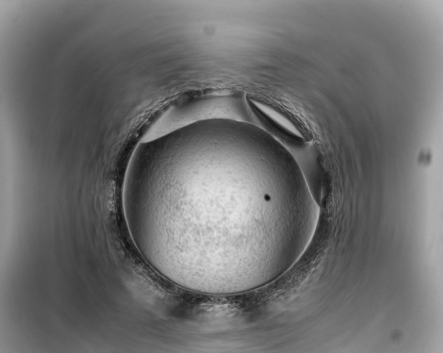 X0000099510689200805221422