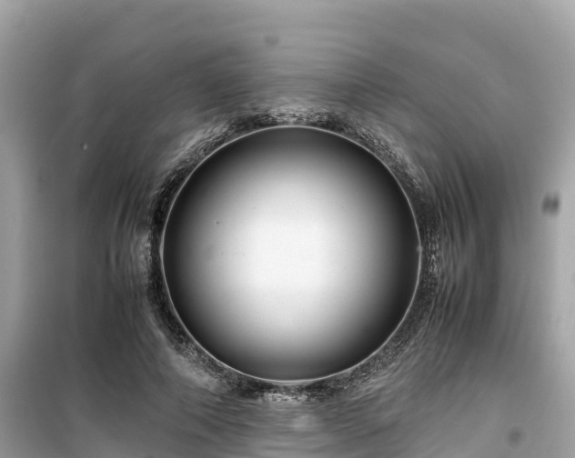 X0000099510690200805221422