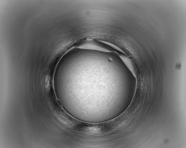 X0000099510692200805221422