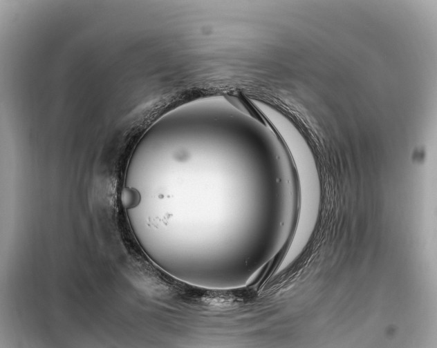 X0000099510693200805221422