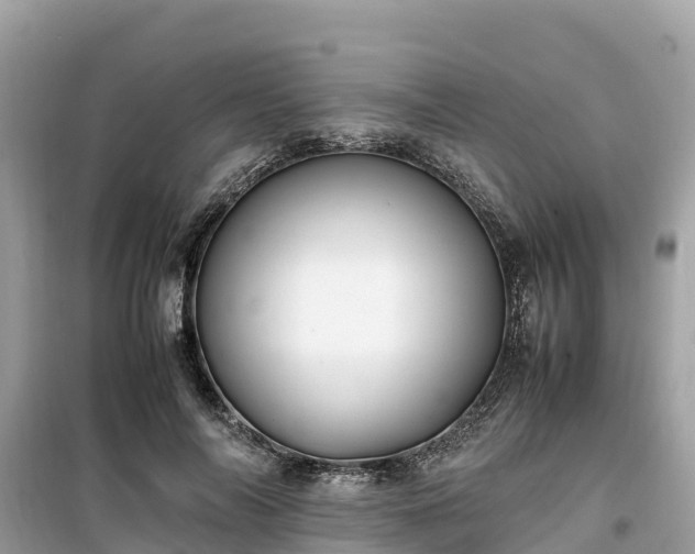 X0000099510694200805221422