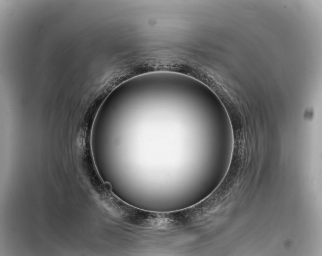 X0000099510695200805221422