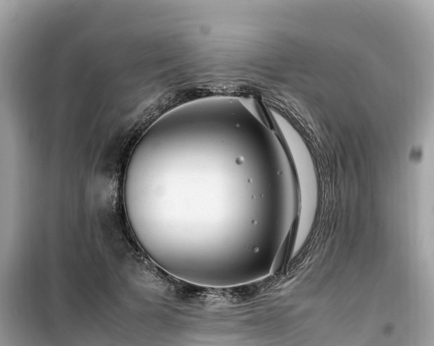 X0000099510697200805221422