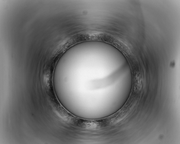 X0000099510698200805221422