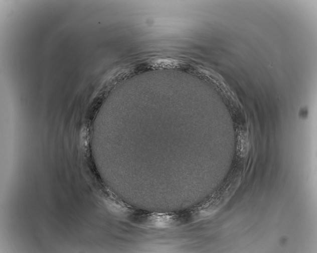 X0000099510701200805221422