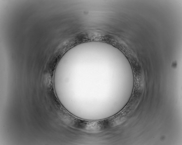 X0000099510705200805221422