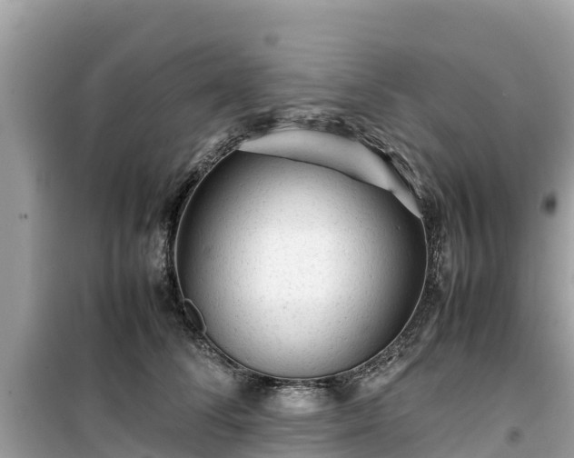 X0000099510708200805221422