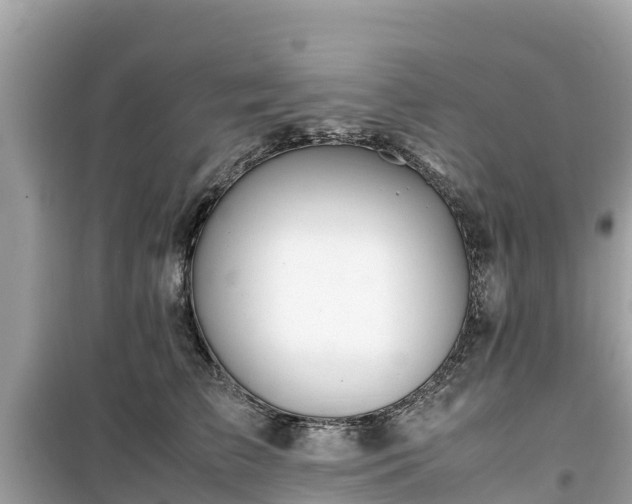 X0000099510709200805221422