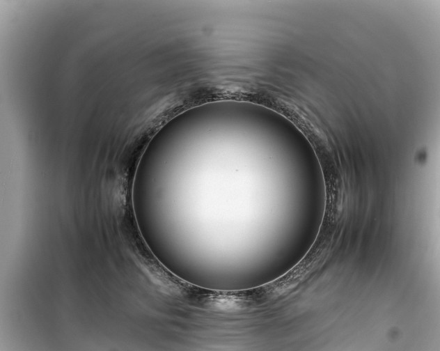 X0000099510710200805221422
