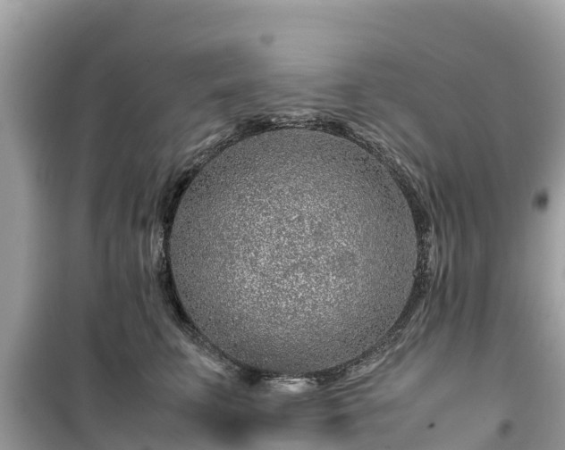 X0000099510711200805221422