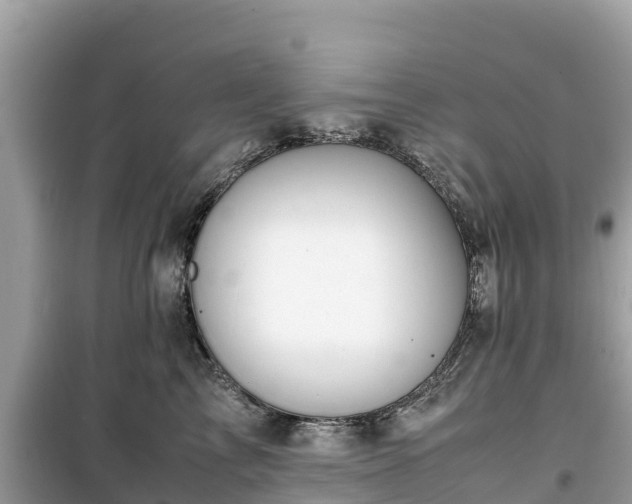 X0000099510713200805221422