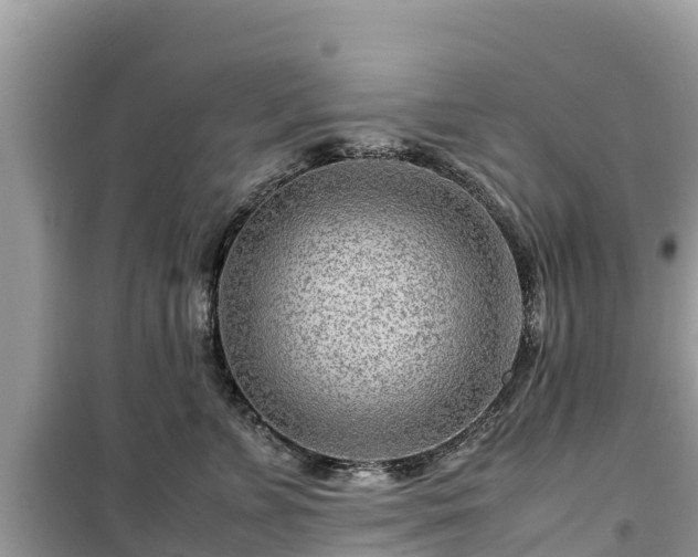 X0000099510715200805221422