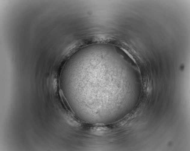 X0000099510716200805221422