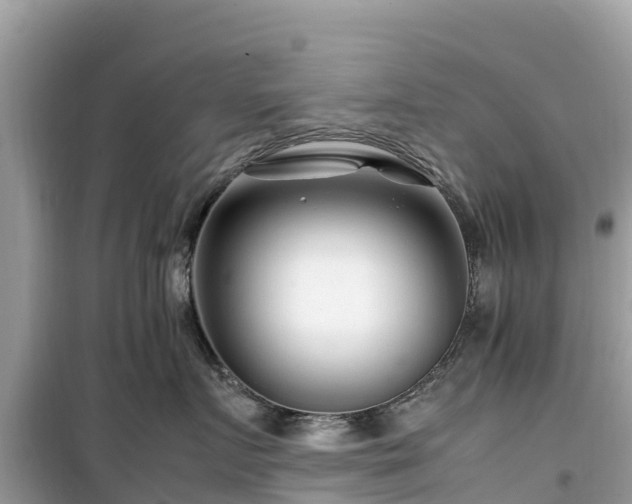 X0000099510719200805221422