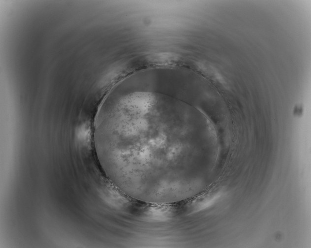 X0000099510720200805221422