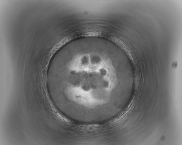 X0000099510721200805221421