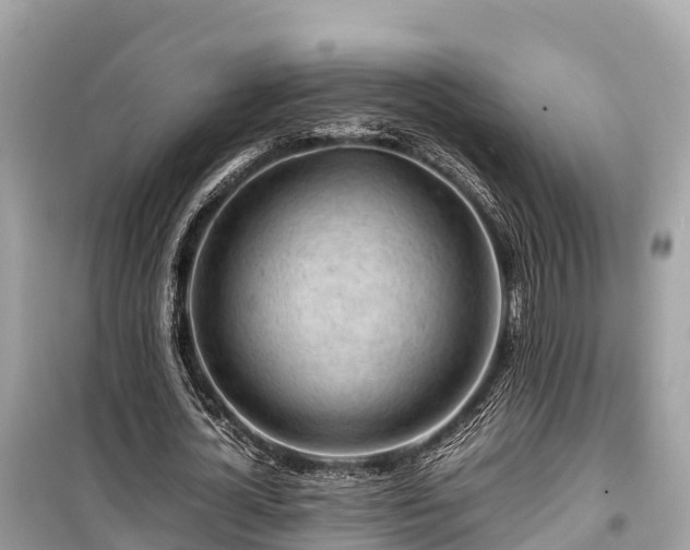 X0000099510724200805221421
