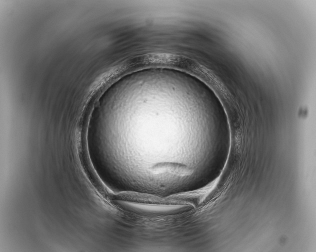 X0000099510725200805221421