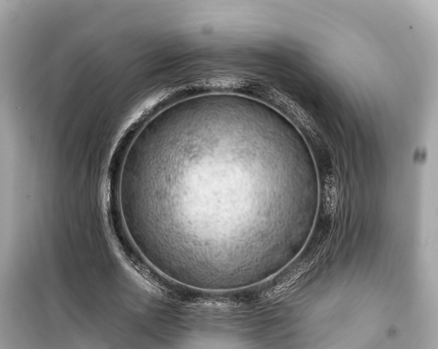 X0000099510726200805221421