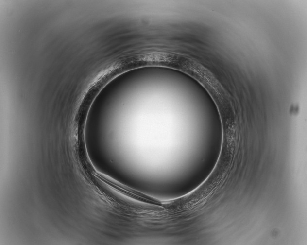X0000099510727200805221421