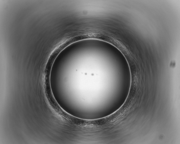X0000099510730200805221421