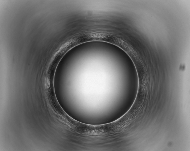 X0000099510731200805221421