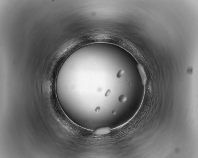 X0000099510732200805221421