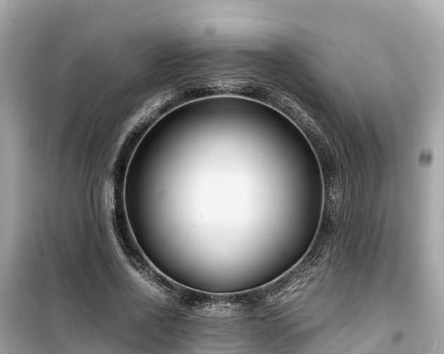 X0000099510734200805221421