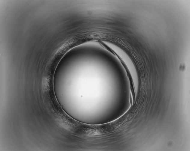 X0000099510735200805221421