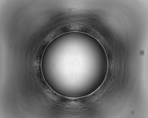X0000099510737200805221421