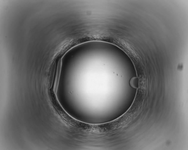 X0000099510738200805221421