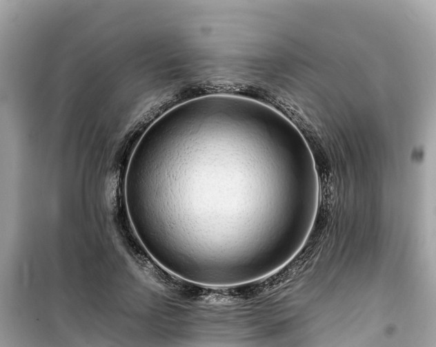 X0000099510742200805221422