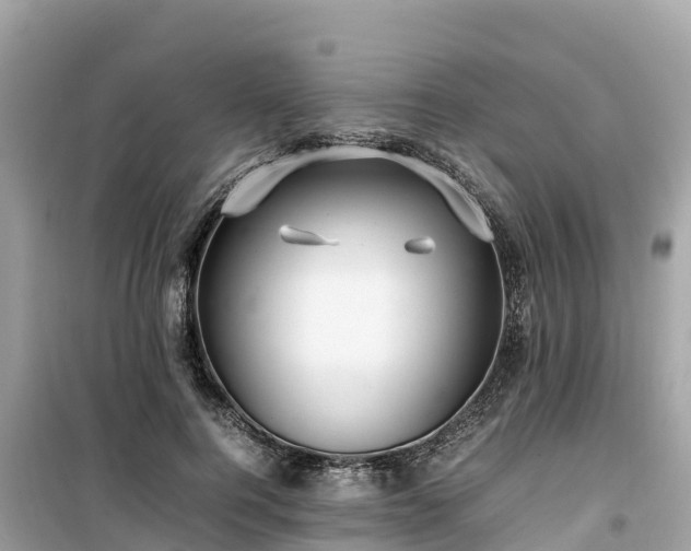 X0000099510744200805221422